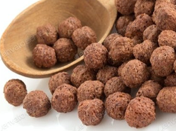 Bolitas de chocolate