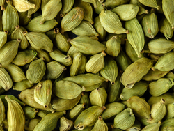 Cardamomo