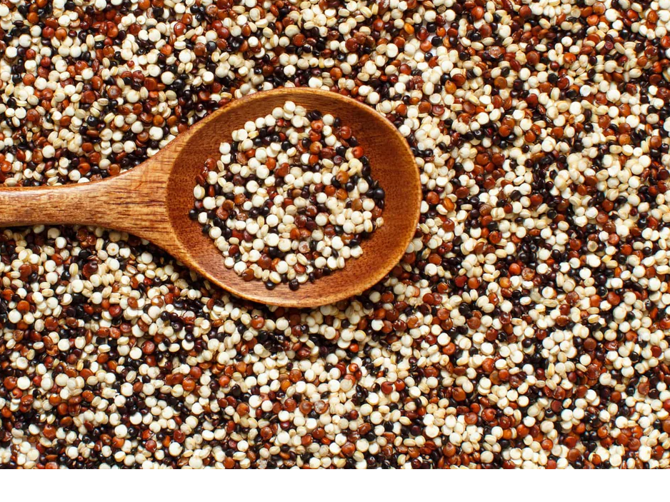 Semilla de quinoa (mix)