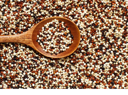 Semilla de quinoa (mix)