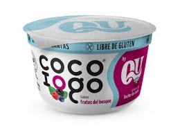 Yogurth "Cocoiogo" Frutos del bosque