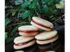 Alfajor cordobes con dulce de membrillo