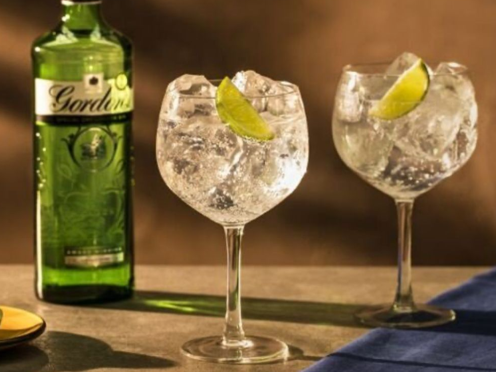 Gin Tonic Gordon's