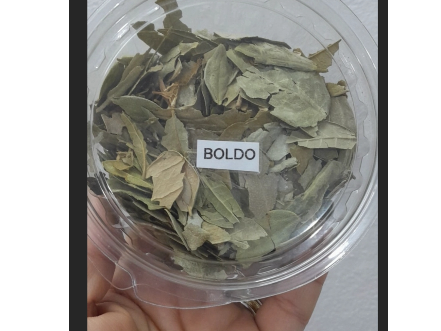 Boldo