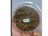 Menta