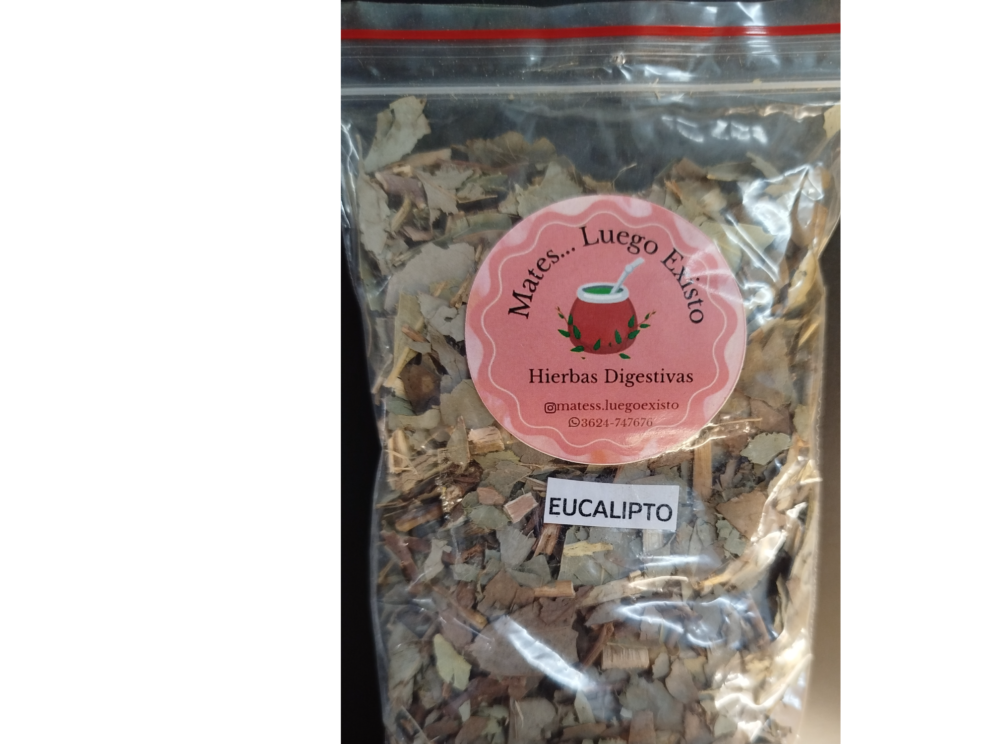 Eucalipto