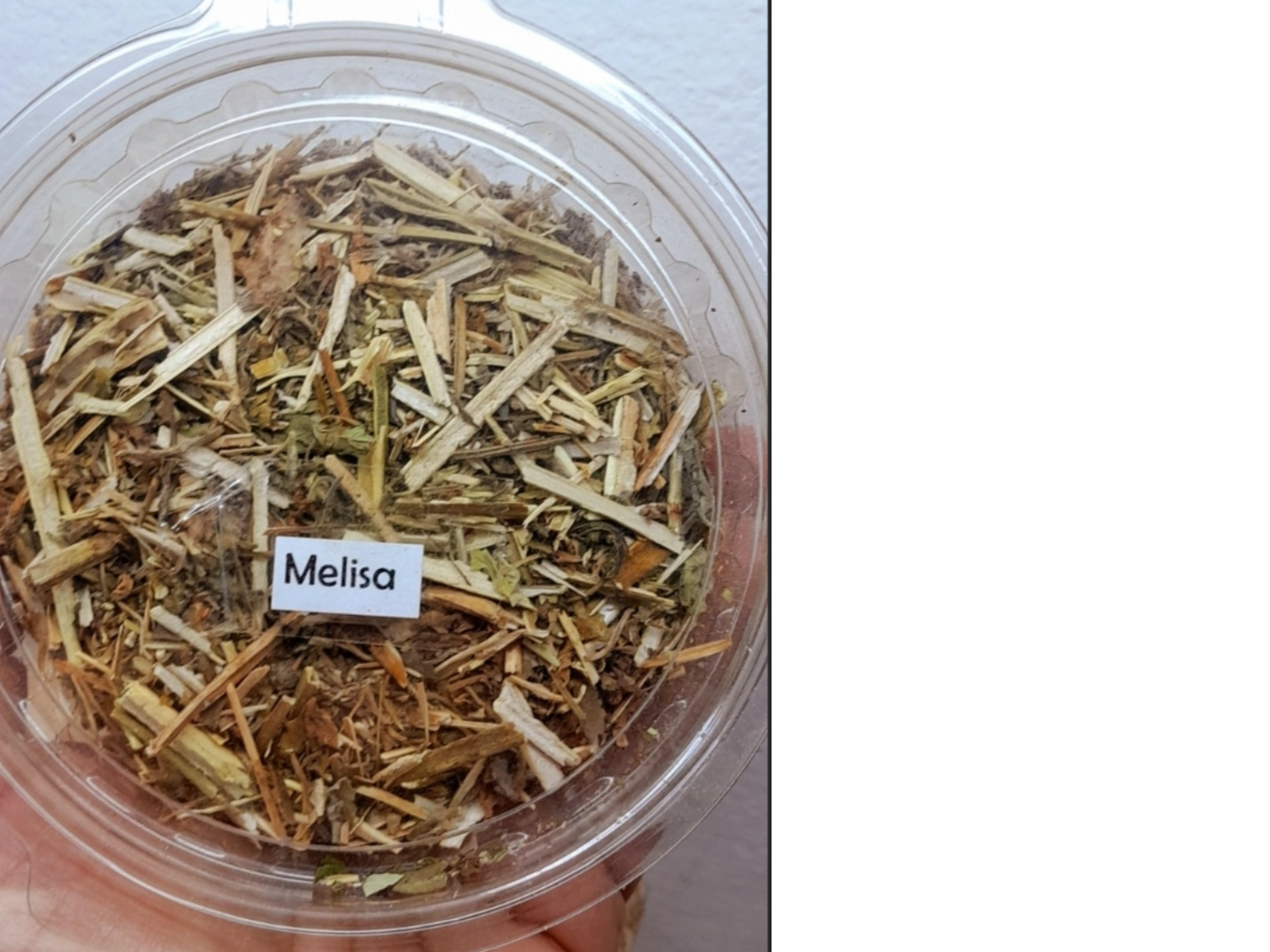 Melisa