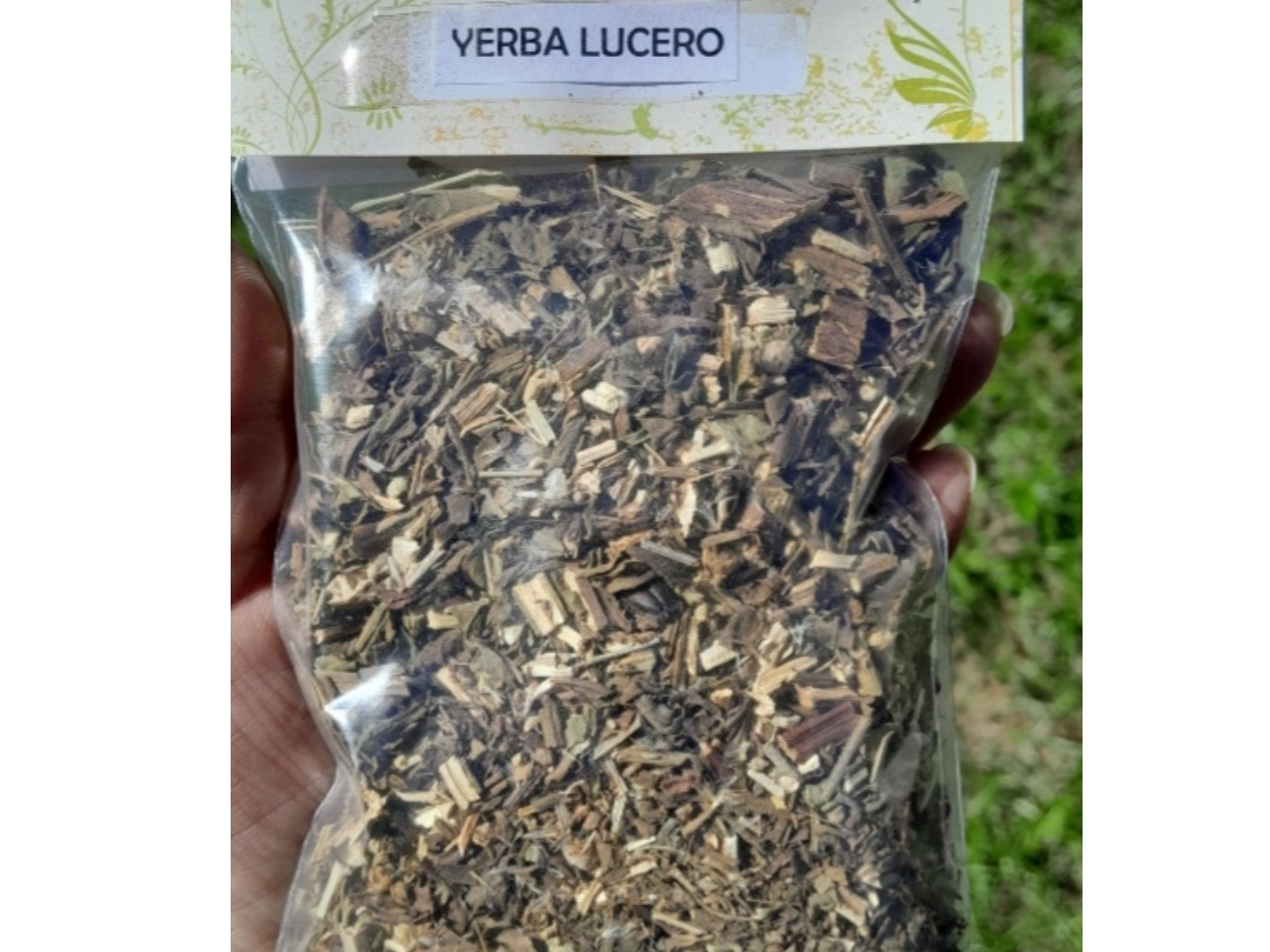 Yerba Lucero