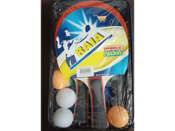 Paleta de ping pong