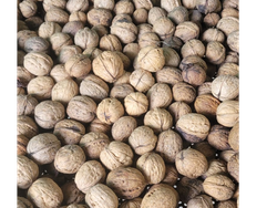 NUEZ CON CASCARA