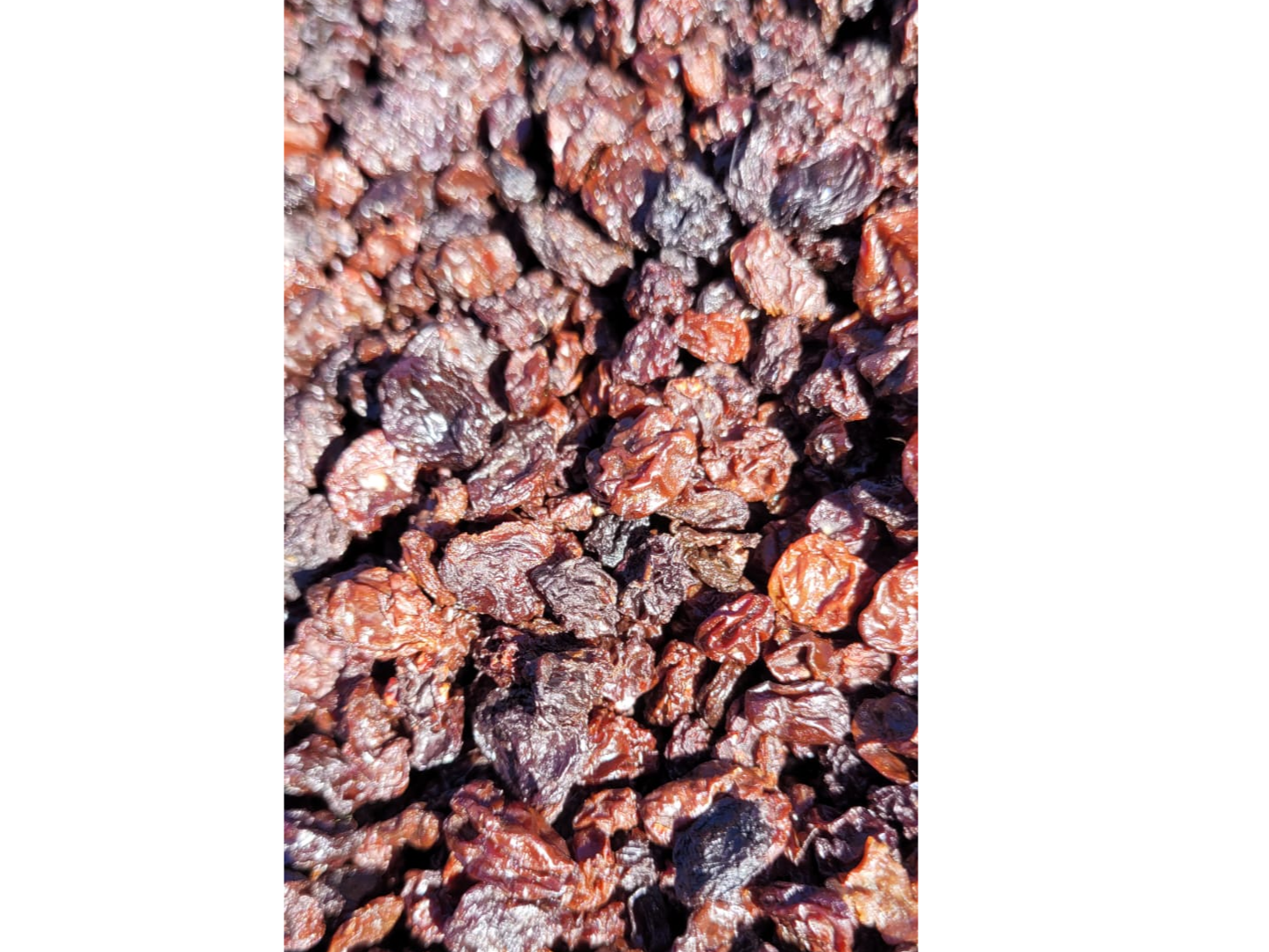 PASA DE UVA AGROECOLOGICA