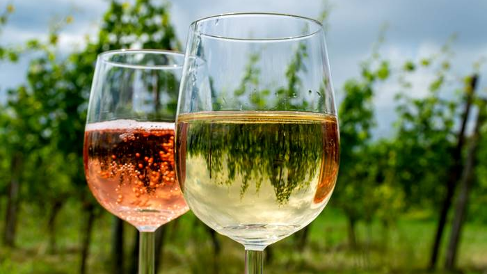 VINOS BLANCOS Y ROSADOS