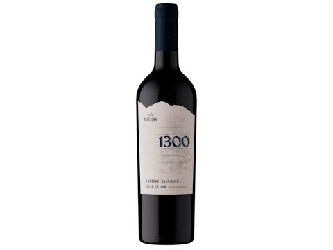 ANDELUNA  1300 MALBEC