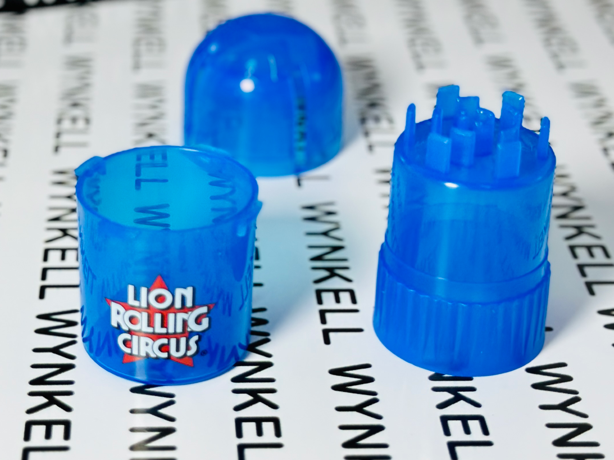 Lion Tainer Acrilico