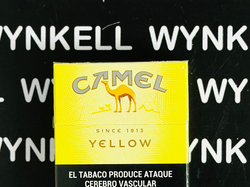 Camel 20 Box