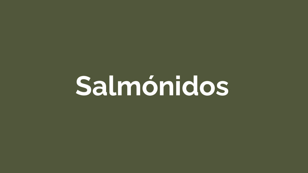 Salmónidos