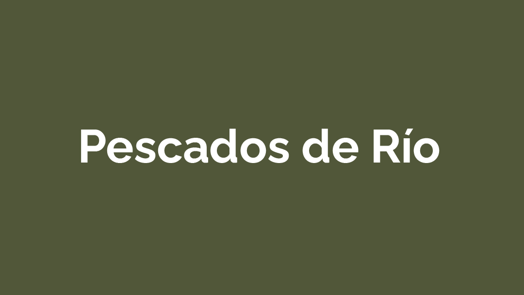 Pescados de río