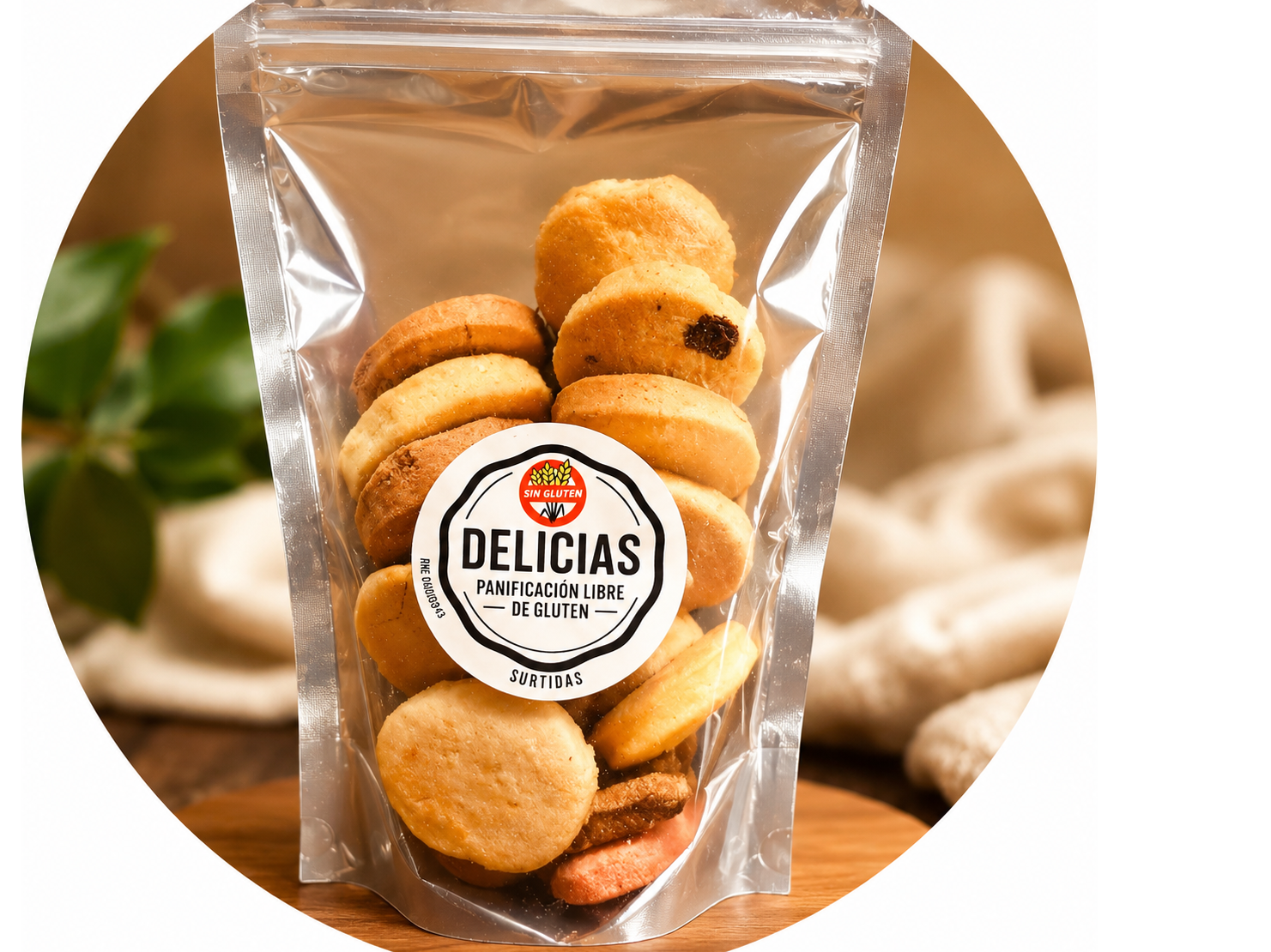 GALLETAS SURTIDAS DIVERSOS SABORES