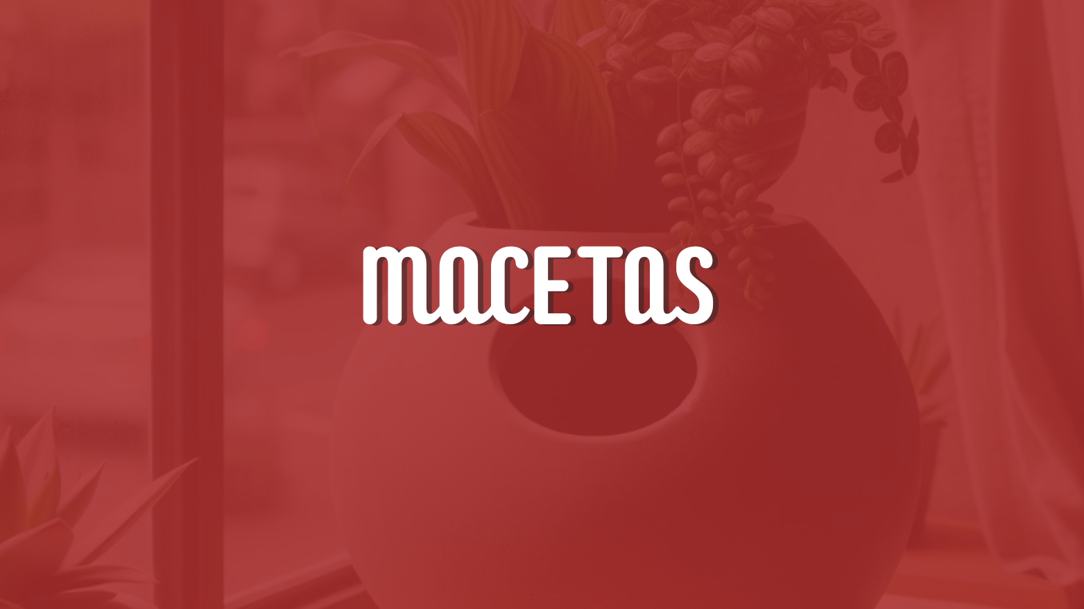 MACETAS