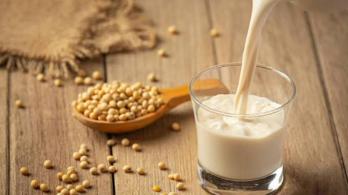 Leche Vegetal