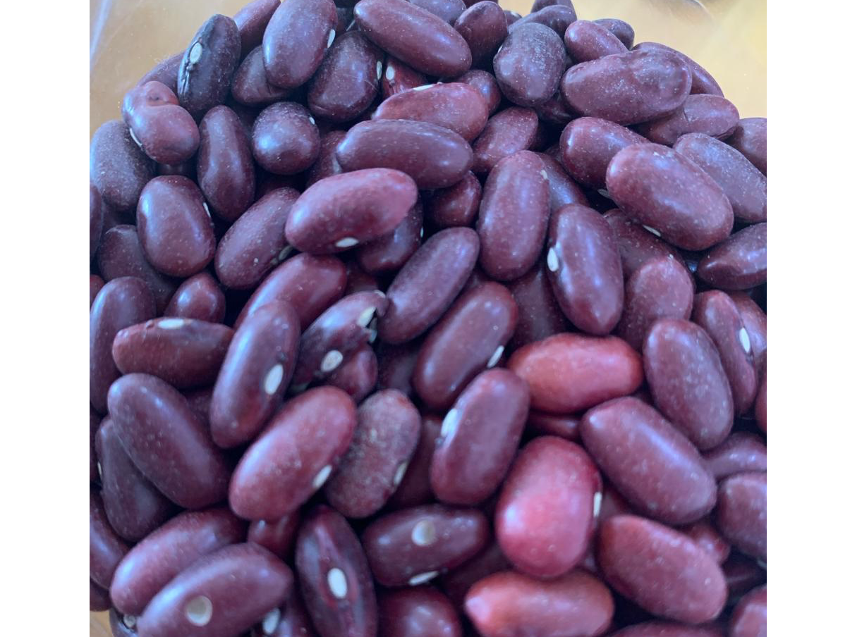 Porotos Colorados