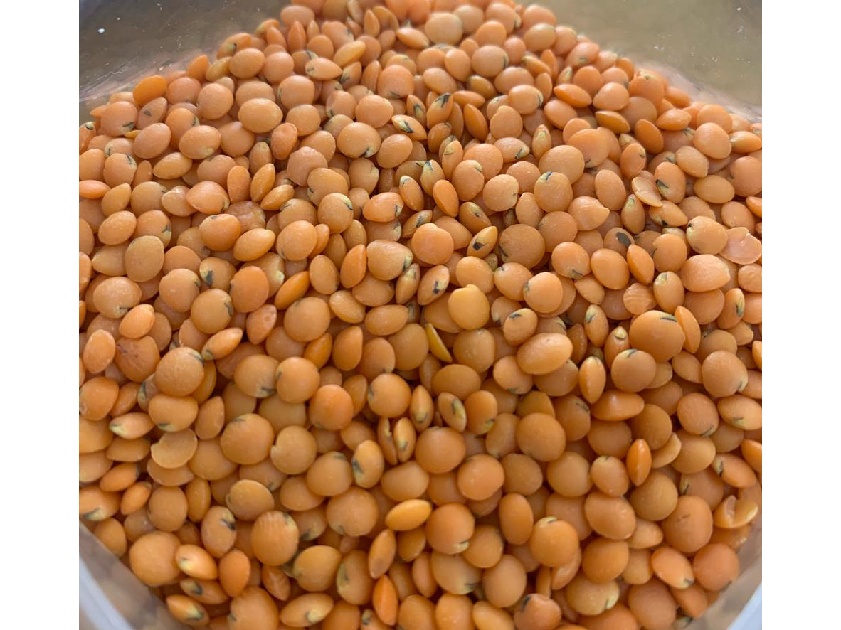 Lentejas Turcas