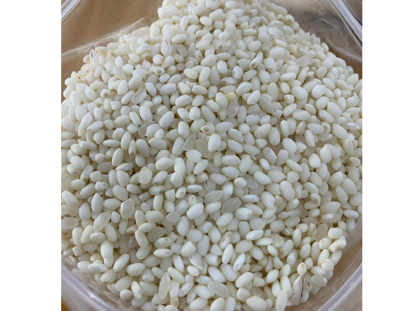 Arroz Mochi Pulido