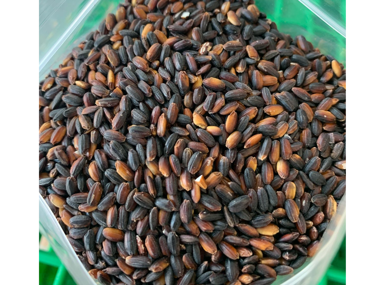 Arroz Negro