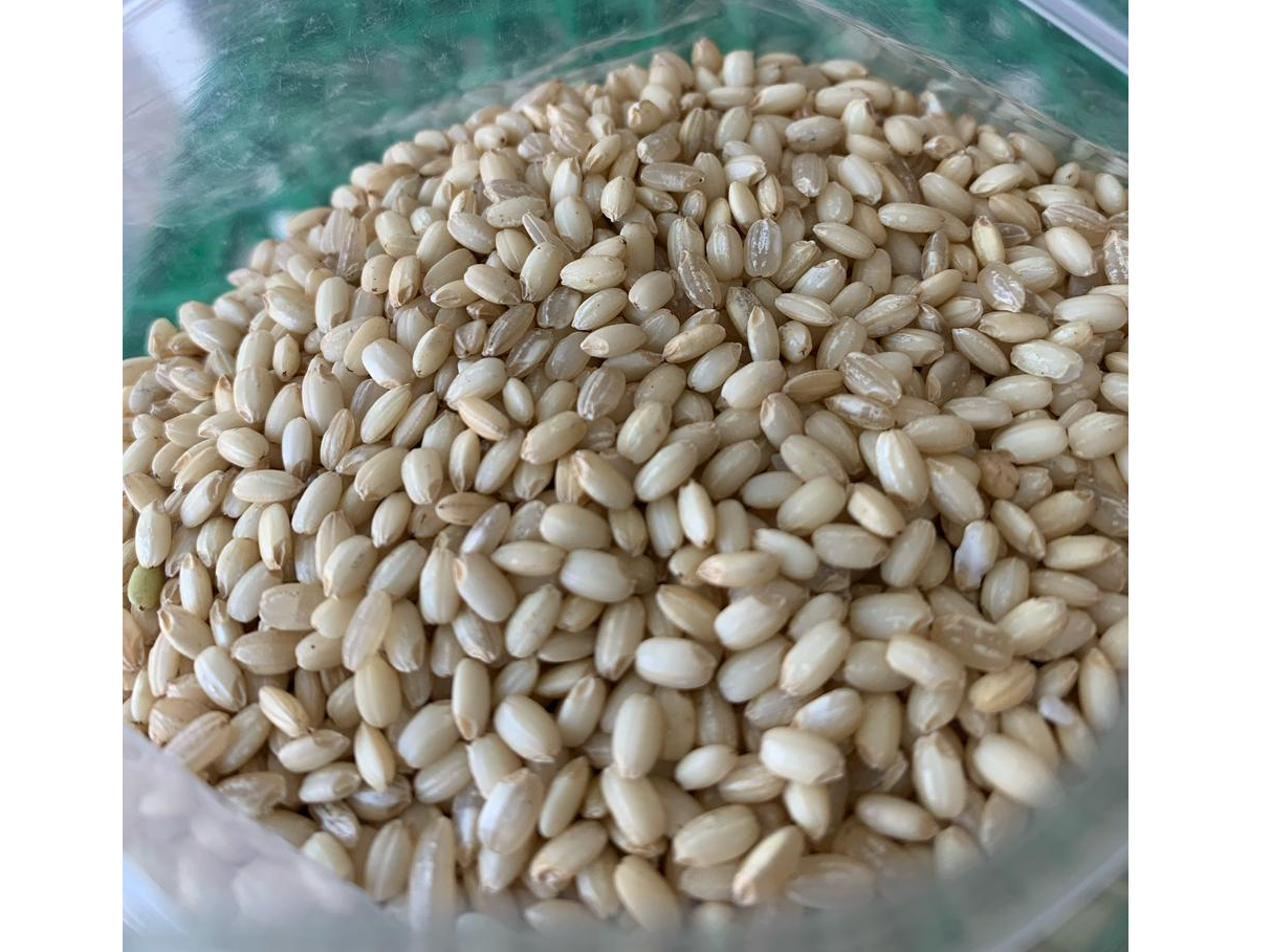 Arroz Mochi Integral