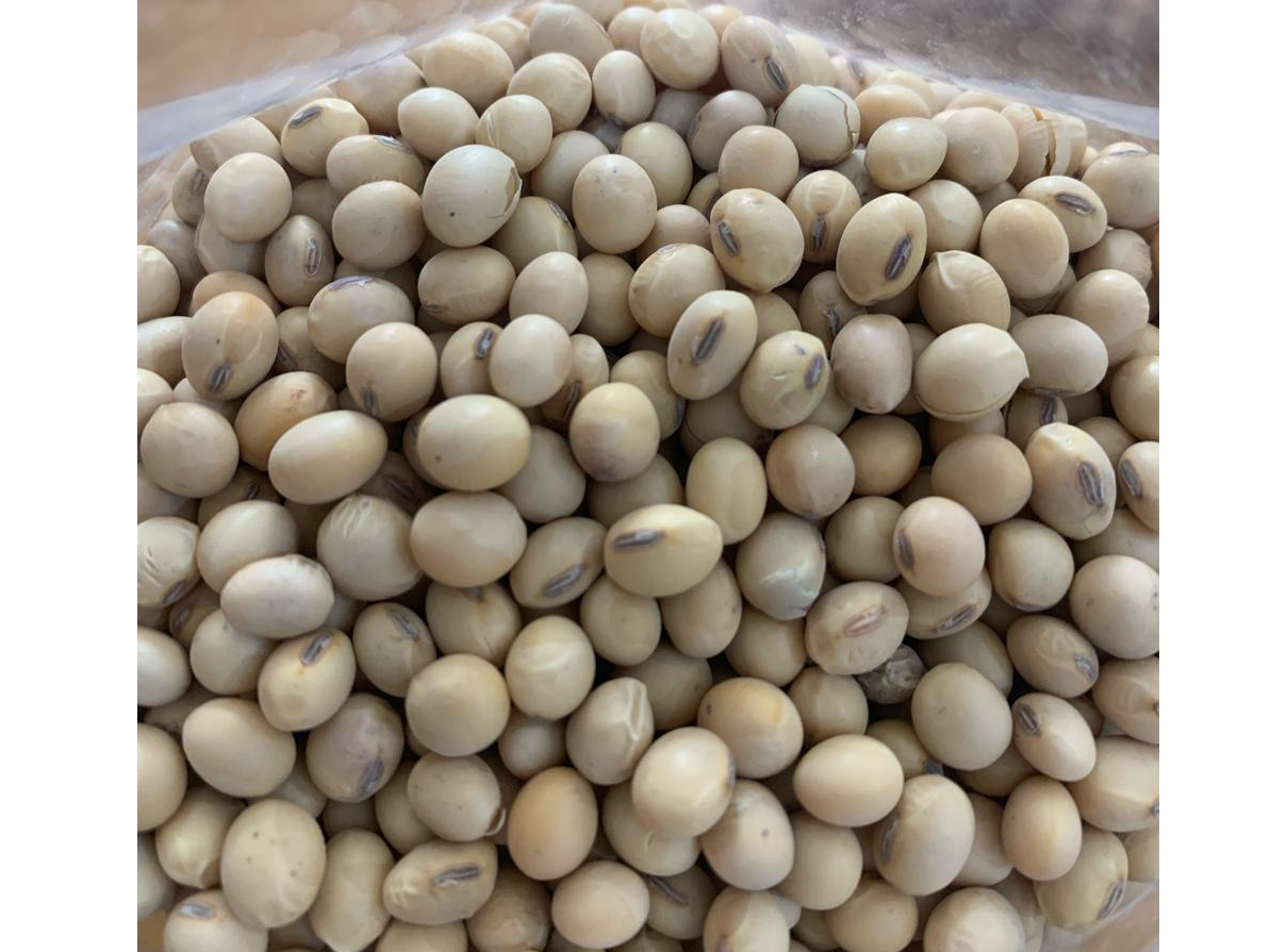 Porotos de Soja