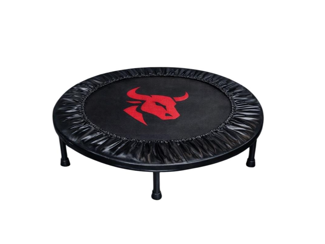 MINI TRAMPOLIN ANIMAL FORCE - CONSULTAR DISPONIBILIDAD