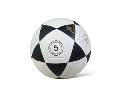 PELOTA FUTBOL PVC N5