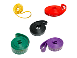 Kit x 5 Bandas Dominadas Animal Force 64 mm a 450 mm