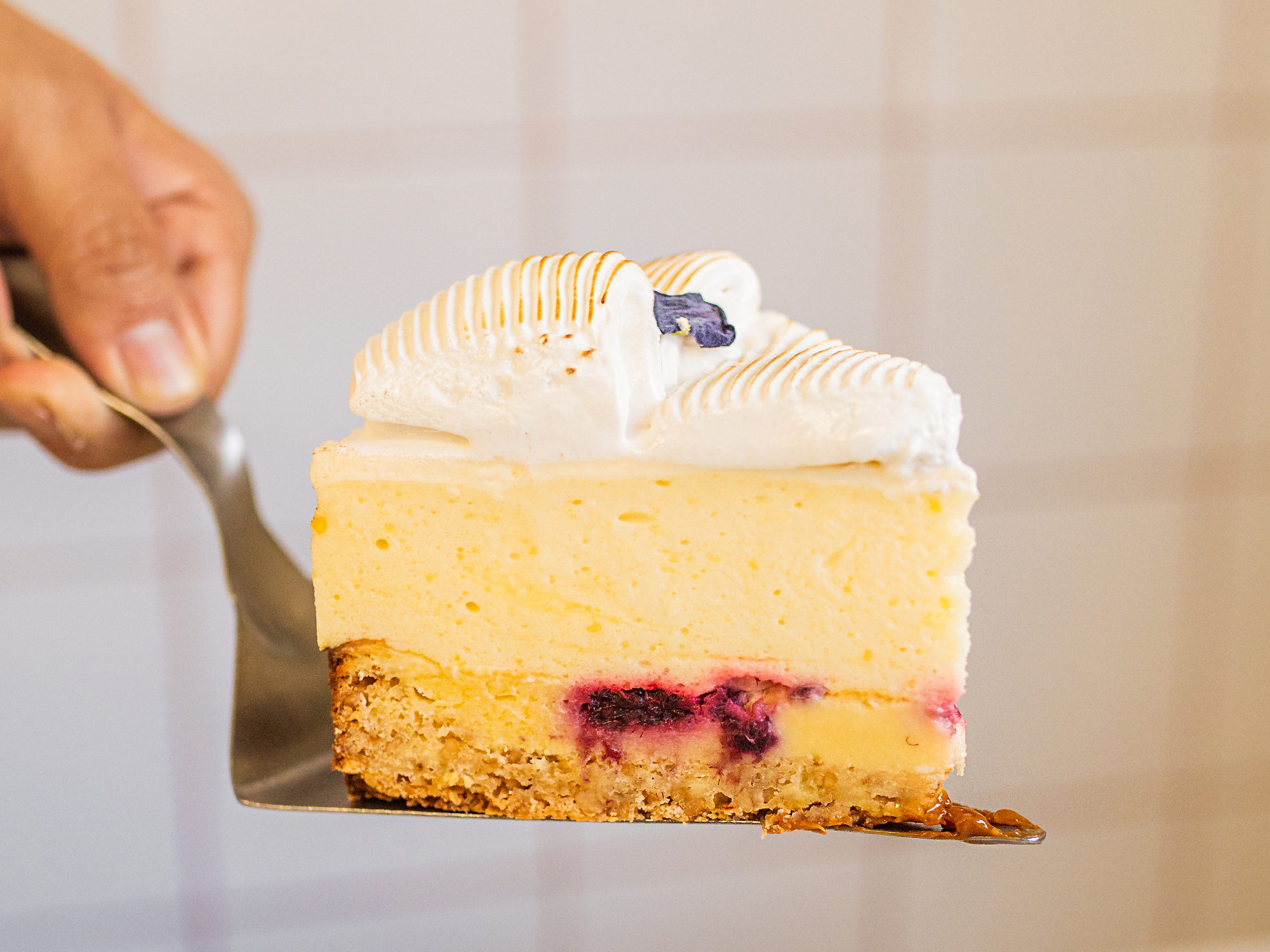 CHEESE LEMON QUEEN