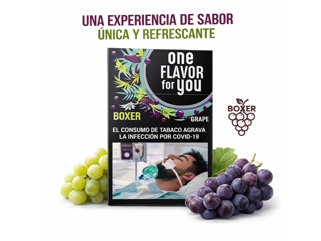 CIGARRILLOS BOXER UVA X 20 UN