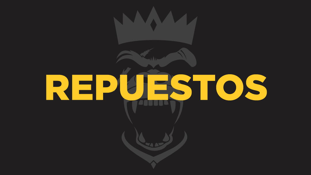 REPUESTOS