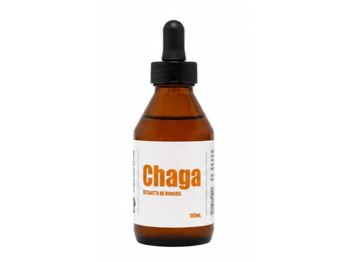 Chaga