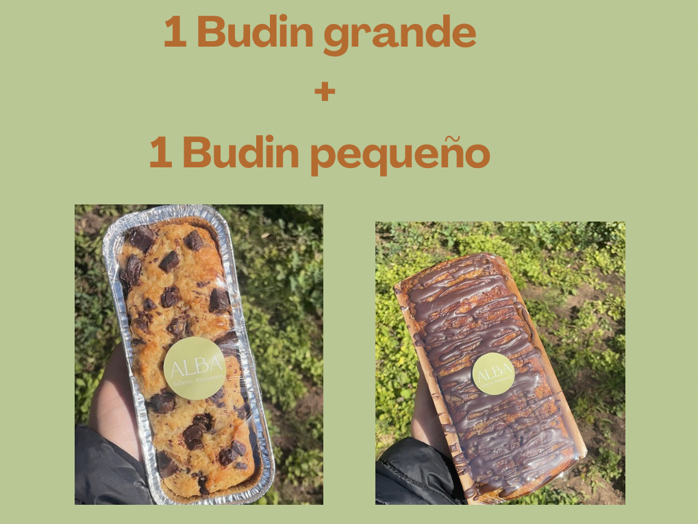 Promo Budines 1