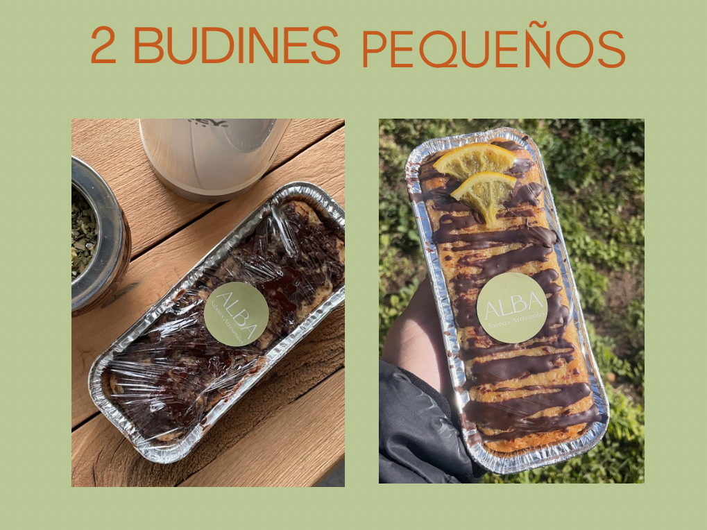 Promo Budines 2