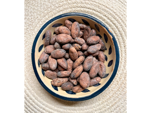 Semillas de cacao de Fruss
