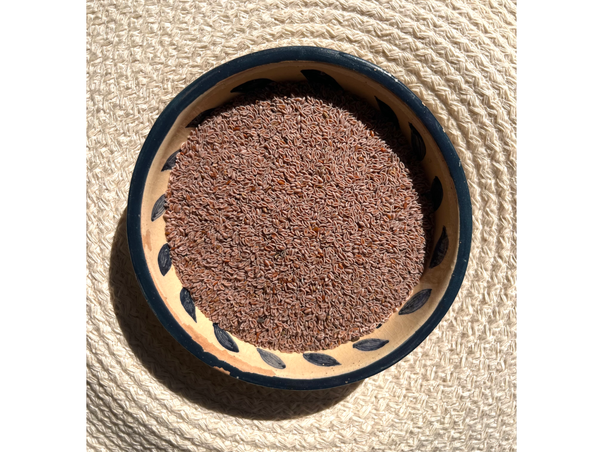 Semilla de Psyllium de Fruss