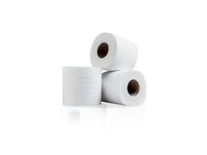 PAPEL HIGIENICO X80MTS X 4 ROLLOS