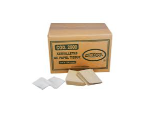 CAJA SERVILLETAS BLANCAS 24X24CM