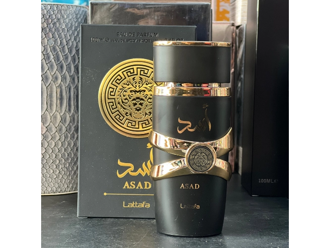 Asad Negro (Masculino)