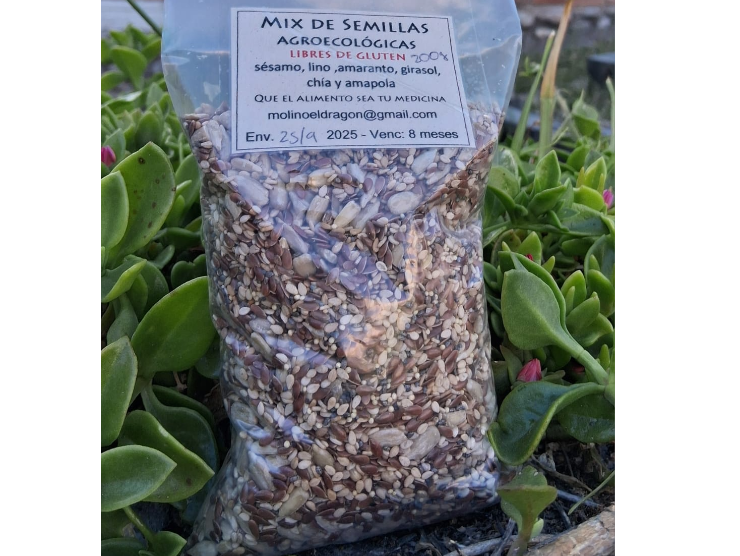 Mix de Semilla Agroecológicas"Molino El Dragon" 200 gr