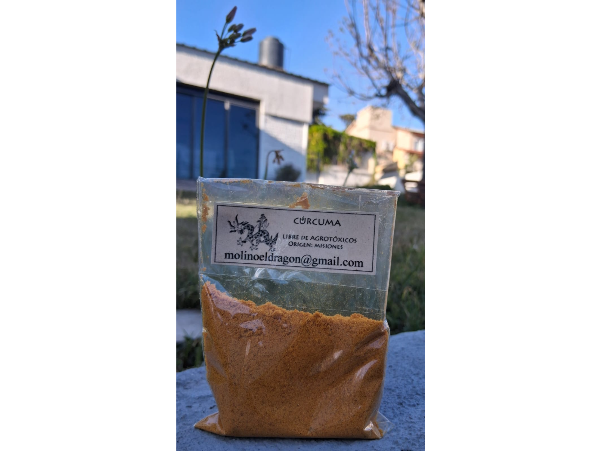 Cúrcuma  en polvo Agroecologica 'Molino El Dragon " x 50 gr