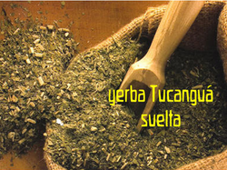 Yerba Tradicional Agroecológica Tucangua suelta  500 gr