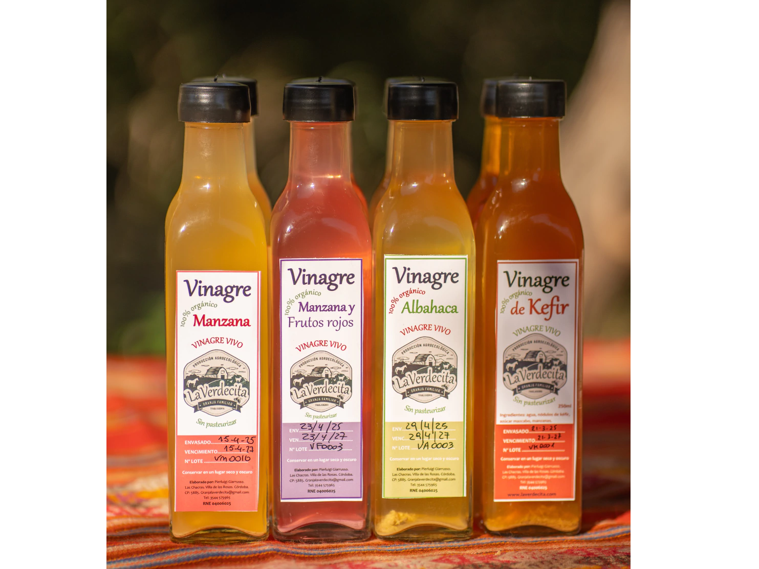 Vinagre Vivo , sin pasteurizar . "La Verdecita Granja Familiar Agroecologica" x 250 ml