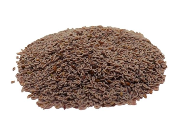 Semillas Psyllium x 100 gr