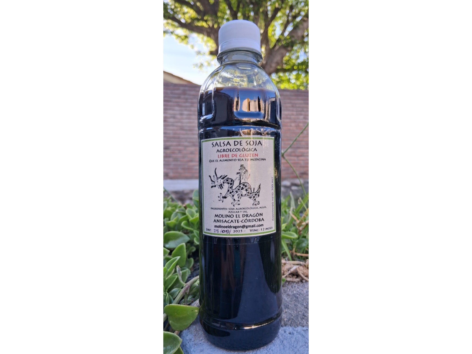 Salsa de Soja Agroecologica "Molino El Dragón " 500 ml